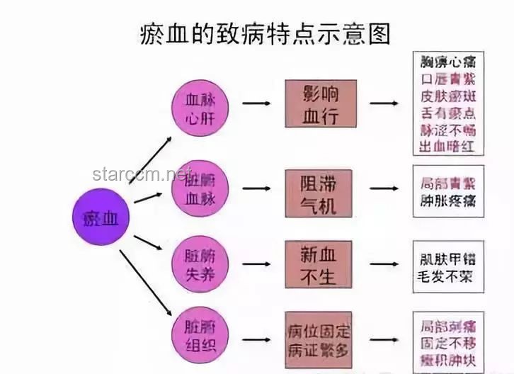 《腿》：人体工学、运动科学、康复医学、生物力学与市场趋势的深度剖析
